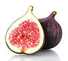 fig