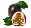 passion fruit