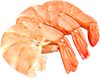 shrimp